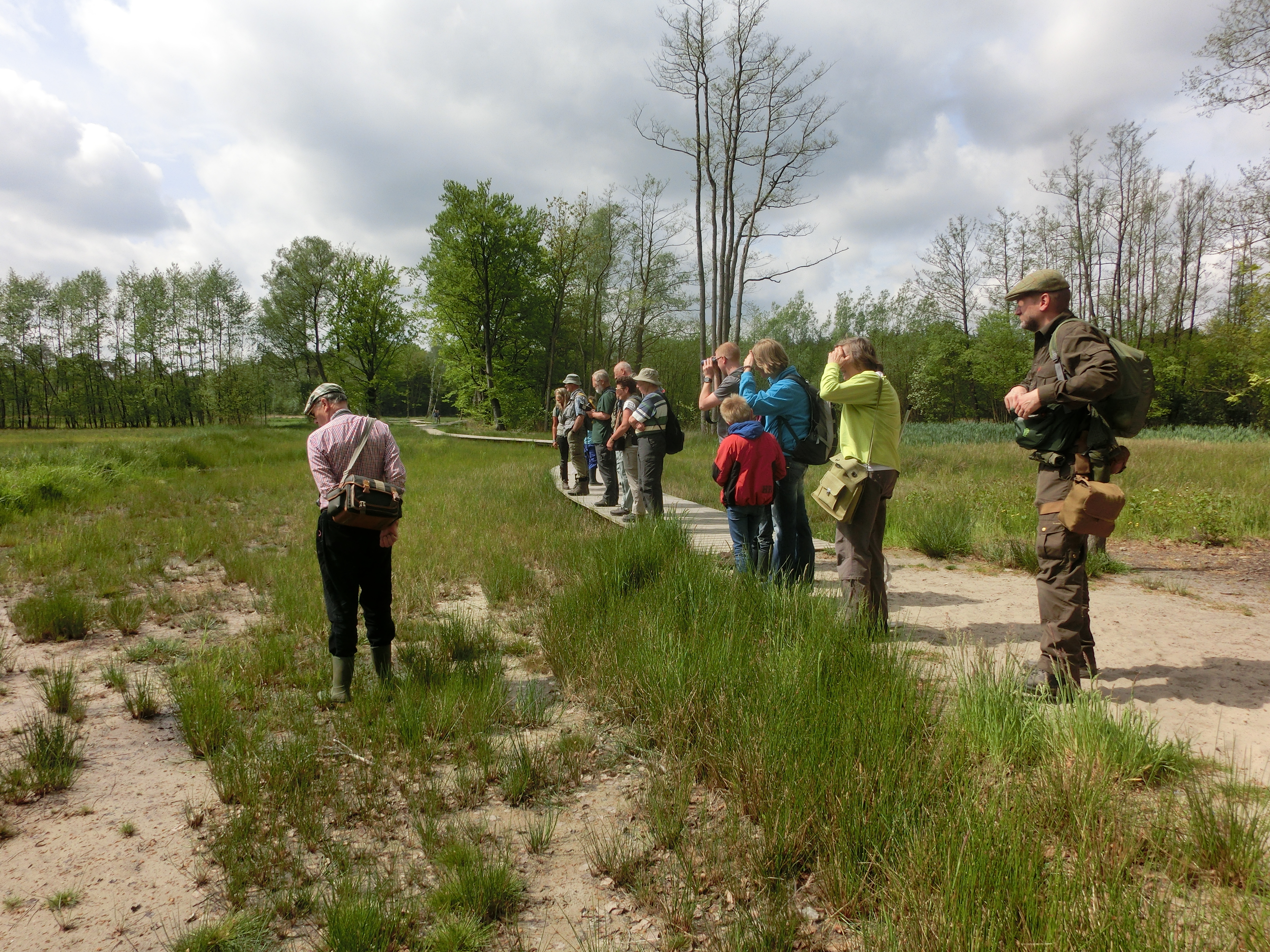 Paddenstoelenwandeling in Drie