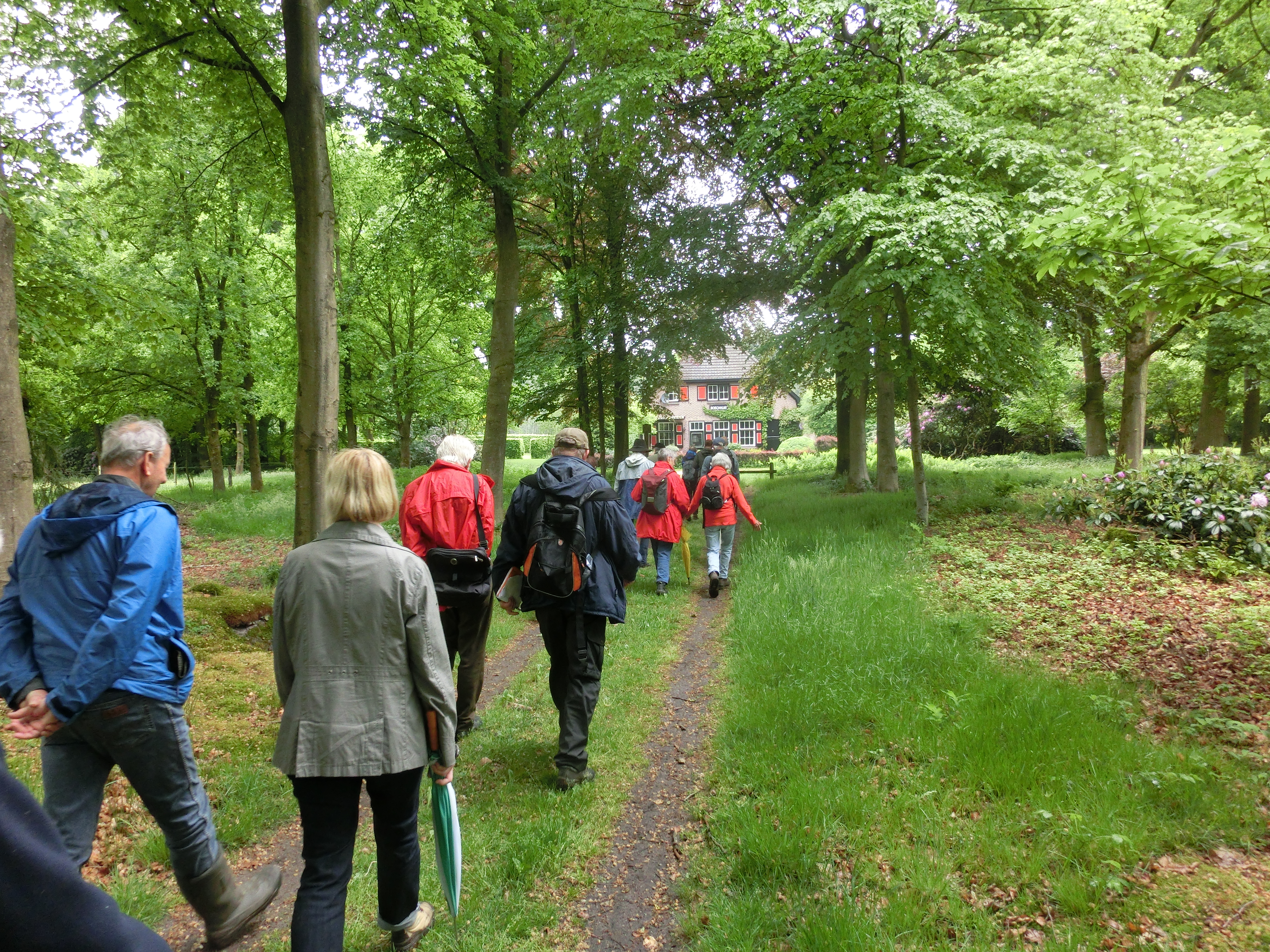 Wandelen met oog voor de natuur: Stille Eenzaamheid