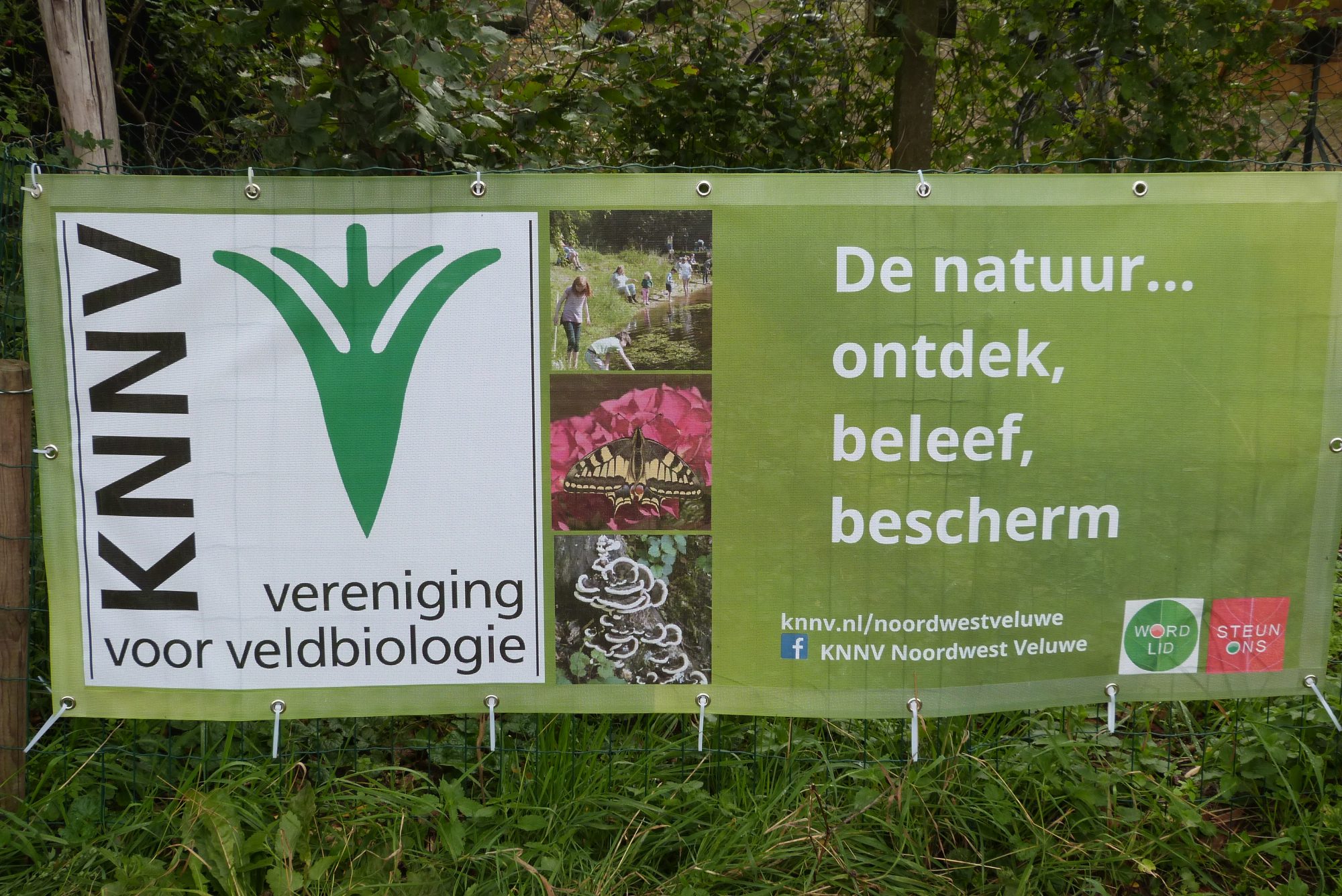 Promotie activiteiten