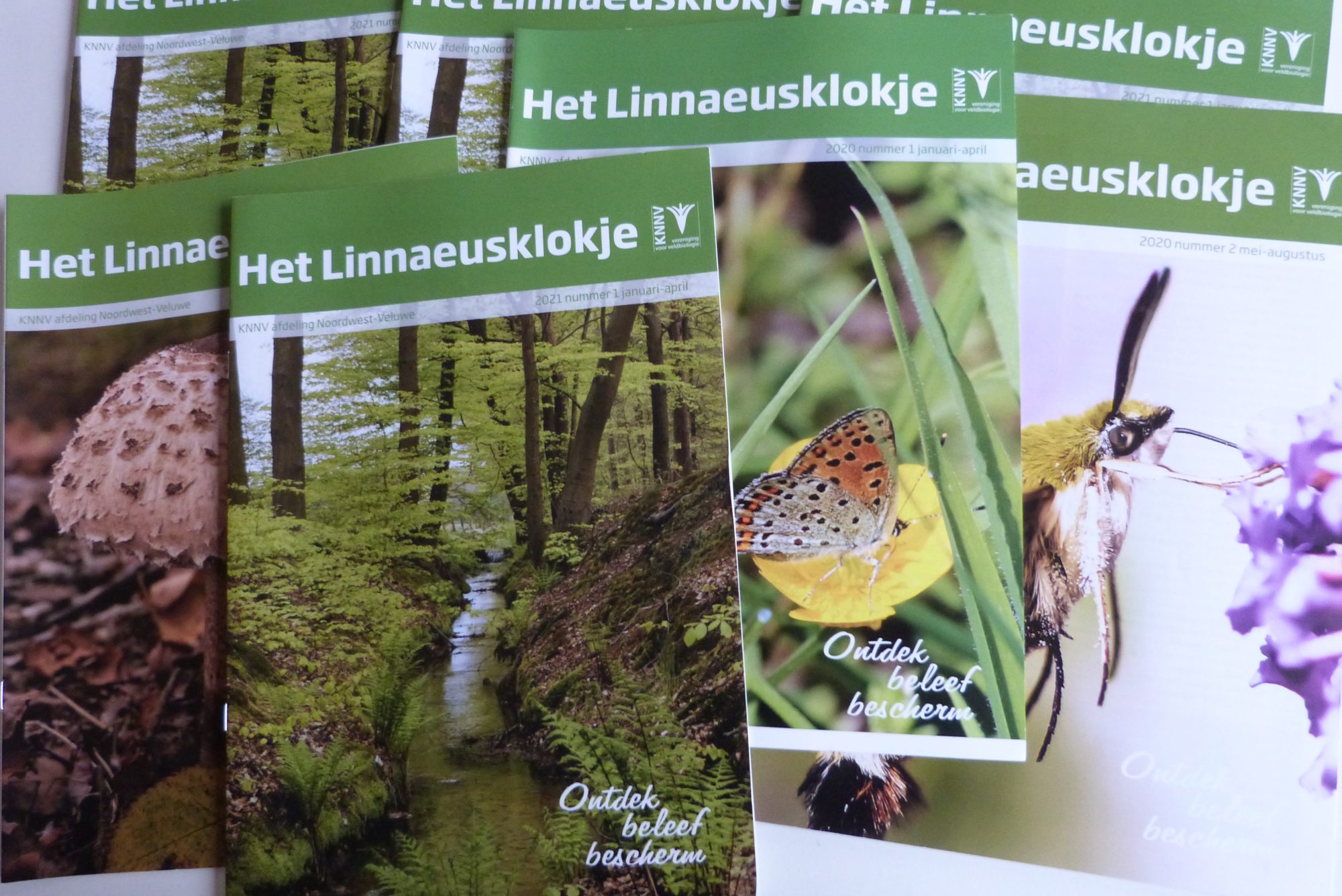Redactie van het Linnaeusklokje