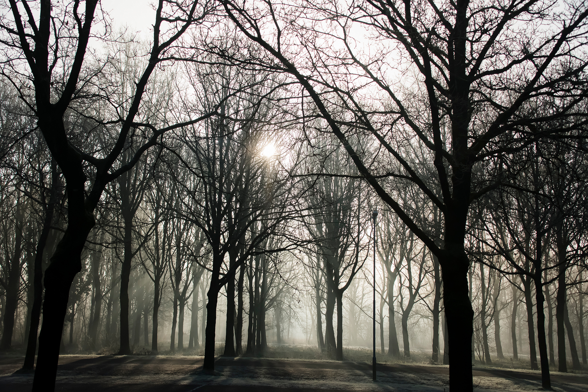 Landschappen