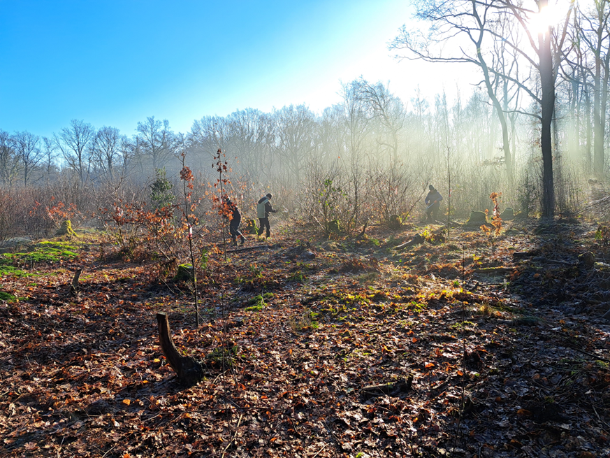 Werkgroep Landschapsbeheer